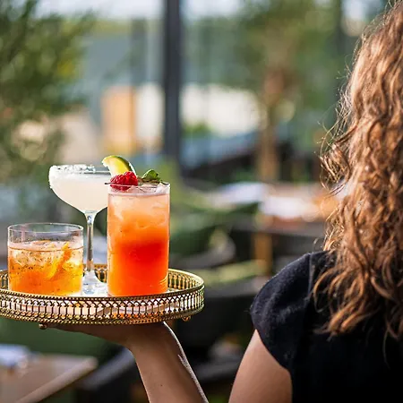 酒店 都柏林机场卡尔顿酒店 4*