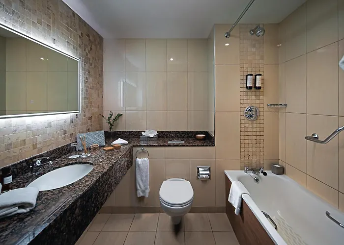 都柏林机场卡尔顿酒店 酒店 4*