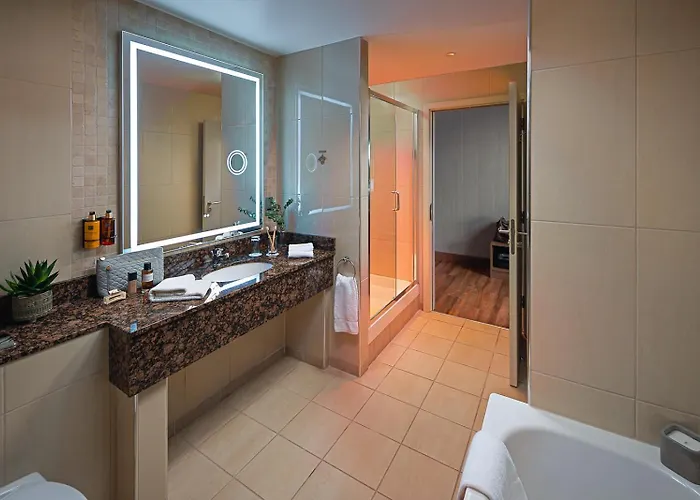 酒店 都柏林机场卡尔顿酒店