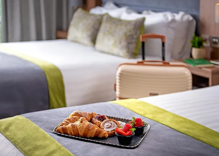 都柏林机场卡尔顿酒店 酒店 4*