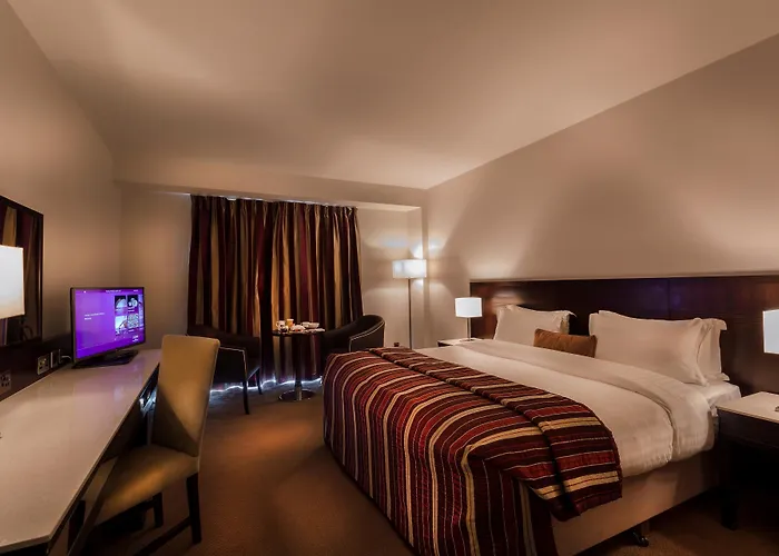 都柏林机场卡尔顿酒店