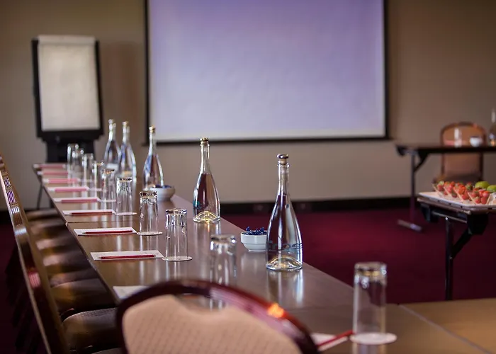 都柏林机场卡尔顿酒店 4*