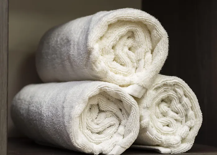 都柏林机场卡尔顿酒店 4*